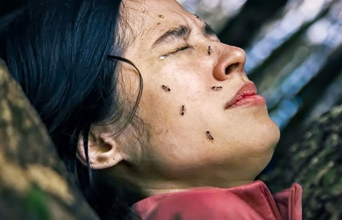 Utilities/Images/Pasted image 20241201170617.jpeg